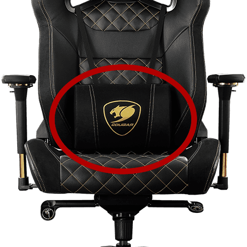 ARMOR TITAN PRO ROYAL LUMBAR PILLOW