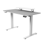 Cougar Desk E-Star 120 White
