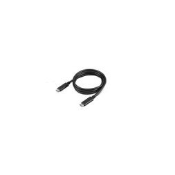 Lenovo 4X90U90619 USB cable USB 3.2 Gen 2 (3.1 Gen 2) 1 m USB C 10 Gbit/s 100 W Black