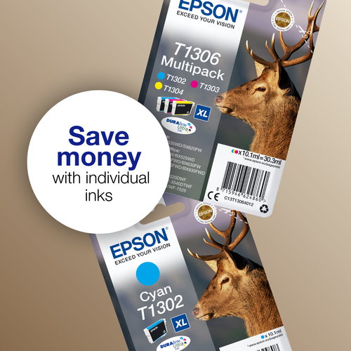 Epson Stag Singlepack Black T1301 DURABrite Ultra Ink