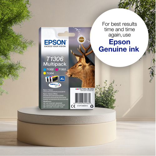 Epson Stag Singlepack Black T1301 DURABrite Ultra Ink