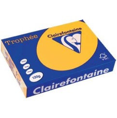 TROPHEE PAPER 120GR SUNFLOWER 1257 TROPHEE PAPER 120GR SUNFLOWER 1257