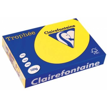 TROPHEE KARTON 120GR YELLOW INTENSIVE 1292 TROPHEE KARTON 120GR YELLOW INTENSIVE 1292