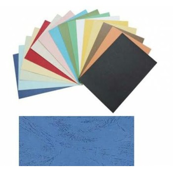 B/R/FOSKA PAPER LEATHER BIND. COVER 230GSM WHITE BR00286-PC3004-2 B/R/FOSKA PAPER LEATHER BIND. COVER 230GSM WHITE BR00286-PC3004-2
