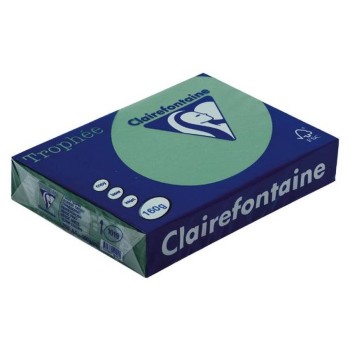 TROPHEE KARTON 160GR GREEN FOREST 1019 TROPHEE KARTON 160GR GREEN FOREST 1019
