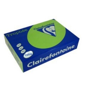 TROPHEE KARTON 160GR INTENSIVE GREEN 1025 TROPHEE KARTON 160GR INTENSIVE GREEN 1025