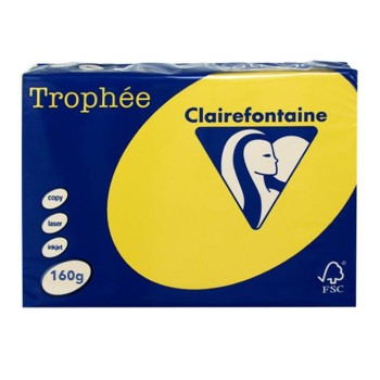 TROPHEE KARTON A4 160GR INTENSIVE YELLOW 1029 TROPHEE KARTON A4 160GR INTENSIVE YELLOW 1029